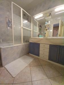 a bathroom with a tub and a sink and a mirror at Chambres chez l'habitant in Meudon