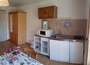 a small kitchen with a sink and a microwave at Studio Barcelonnette Ubaye, Provence in Enchastrayes