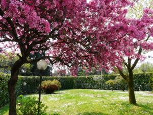 Zahrada ubytování In Giardino B&B
