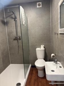 a bathroom with a shower and a toilet and a sink at Hotel Plas Hyfryd in Narberth