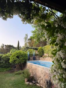 a swimming pool in a garden with plants at Charming villa with a private pool in Las Rozas de Madrid