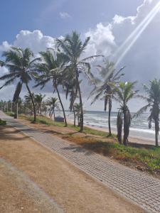 a dirt road next to a beach with palm trees at Suíte Pé na Areia do Flamengo in Salvador