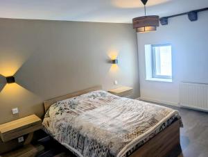 a bedroom with a bed and a window at Gîte de La Forge in Hesse