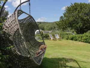 a swing in a yard with two chairs at Alloa in Newby Bridge