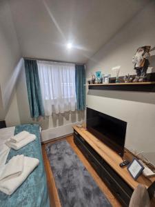 a small bedroom with a fireplace and a bed at Nest 316 Bela Reka Kopaonik in Brzeće +48 photos