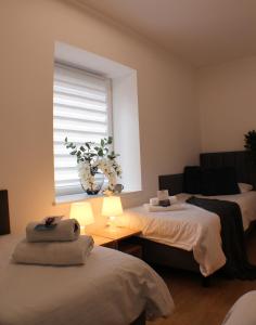 a room with two beds and a window with a plant at VESTA Apartamenty M52 Free parking in Szczecin