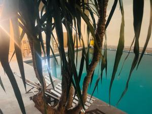a palm tree sitting next to a swimming pool at Hotel Appart HB in Marrakesh