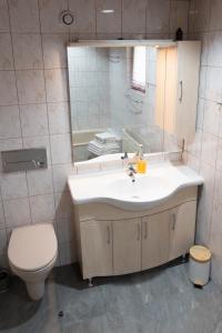a bathroom with a sink and a toilet and a mirror at A schön's Platzerl - Apartment Argus in Fügenberg +8 photos