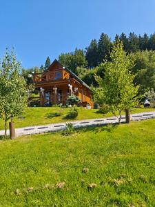 a house on a hill with trees in front of it at DOMKI KOLOROWE in Marciszów