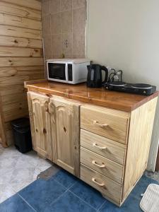 a microwave sitting on top of a wooden cabinet at dpto lofalu in Gobernador Gregores