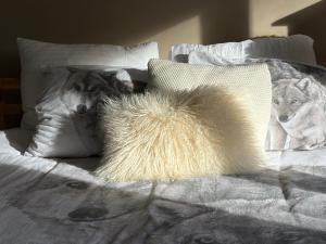 a white dog laying on a bed with pillows at Villa des Bois Sauvages in Liège +5 photos