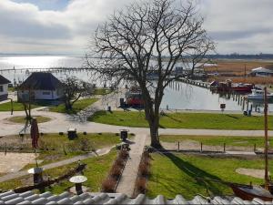 a tree in a field next to a body of water at Hotel Hiddensee Hitthim in Kloster