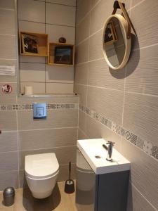 a bathroom with a toilet and a sink and a mirror at Le lavoir in Moiry +13 photos