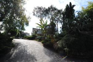 een geplaveide straat met bomen en een huis bij Casa Santarelli in Rome