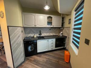 a kitchen with a washing machine and a washer at BM Aparts Rustic in Pleven