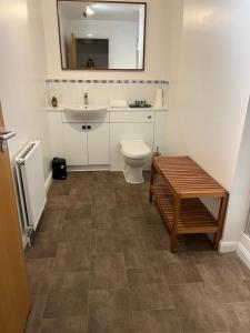 a bathroom with a sink and a toilet and a mirror at Caledonian Apartment in Perth
