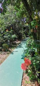a path through a garden with trees and plants at Verde & Sal 12 in Ilhéus