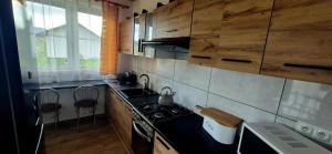 a small kitchen with a stove and a sink at Domek Na Hawajach in Polana