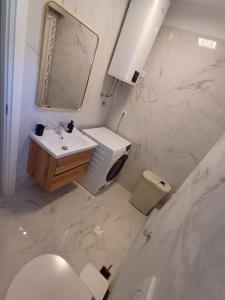 a bathroom with a sink and a toilet and a mirror at Apartman Danijel in Bibinje