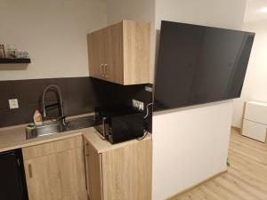 a small kitchen with a sink and a microwave at Garsoniéra za Bezručem in Slezská Ostrava
