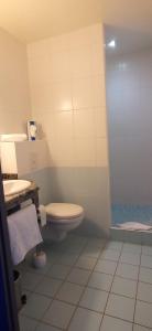 a bathroom with a toilet and a sink at Logis Hotel Restaurant Le Cygne in Yssingeaux +46 photos