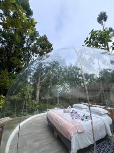 a bed in a glass dome on a deck at KAZ INSOLITE in Saint-Louis