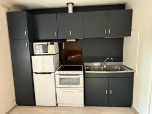 a small kitchen with black cabinets and a sink at Euronat naturist studio in Grayan-et-lʼHôpital