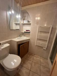 a bathroom with a toilet and a sink at Apartment in Mostuejouls in Mostuéjouls
