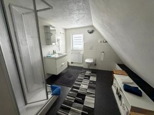a bathroom with a shower and a toilet and a sink at Ferienwohnung Lippmann in Großhartmannsdorf +13 photos