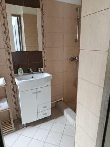 a bathroom with a white sink and a shower at Studio M in Timişoara