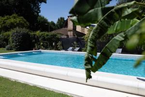 a swimming pool in a yard with a plant at Primer Peldaño - Casa Quinta in Junín