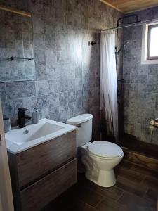 a bathroom with a toilet and a sink and a shower at Casa para 8 personas in Licán Ray +11 photos