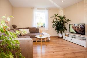 a living room with a couch and a tv at Ferienhaus Peenegrün in Jarmen