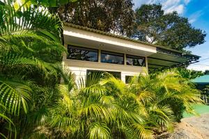 ein Haus mit Palmen davor in der Unterkunft Inta Tiny House in Fortuna