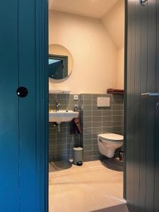a bathroom with a sink and a toilet at B&B en theetuin Loodiep in Zwinderen