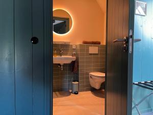 a bathroom with a sink and a toilet at B&B en theetuin Loodiep in Zwinderen