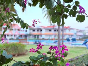 a group of purple flowers in a park at MILANO By The Beach Goa in Benaulim
