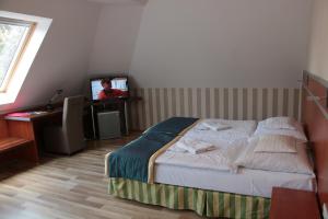a bedroom with a bed and a tv in it at Fortuna Hotel in Miskolctapolca