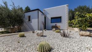 a house with a gravel yard with cactus at Tenuta Olive Alive in Noto +63 photos