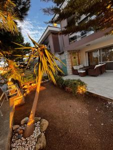 a palm tree in front of a house at Eos in Çeşme