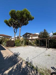 a large yard with a tree and a house at Il Sole in Terrazza - A due Passi dal Mare - Private Garden and Parking in Cinquale