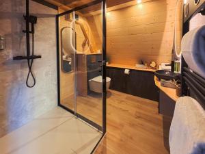 a bathroom with a shower and a toilet at Les Terrasses du Grillon in Chambon-sur-Lac