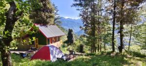 a tent in a field next to a cabin at Jibhi Pine Nature Tree house in Jibhi
