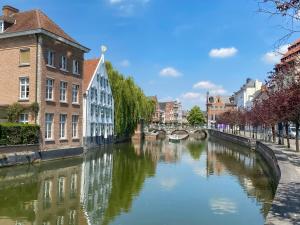 a river in a city with buildings and a bridge at Hotel Guzy Lier Centre in Lier +26 photos