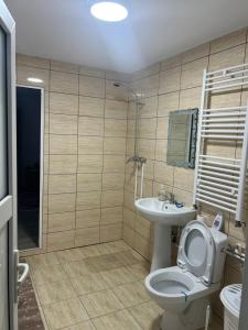 a bathroom with a toilet and a sink at Insieme in Vidra +25 photos