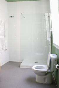 a white bathroom with a toilet and a shower at Matute Street, Private rooms in Madrid