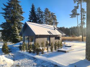 a small cabin in the snow with trees at Salmistu Saunamaja in Salmistu