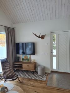 a living room with a flat screen tv and a chair at Salmistu Saunamaja in Salmistu