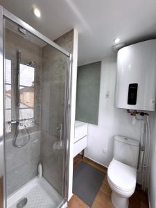 a bathroom with a shower and a toilet at Le Chenin 2 Pers Proche gare Avon in Avon
