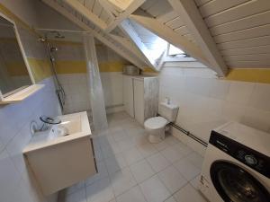 a bathroom with a toilet and a sink and a washing machine at Spacious 2 beds flat in Grande-Terre center in Morne-à-lʼEau +6 photos